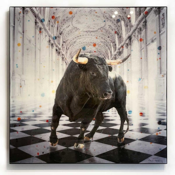 Paul Thierry | Two Bull