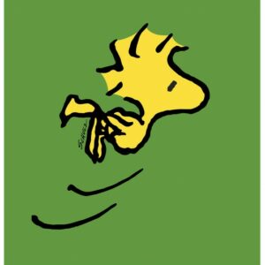 PEANUTS-POP-Woodstock-Green_600x600.jpg