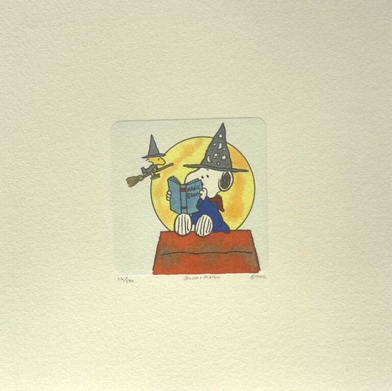 Peanuts-Grafik „Doghouse Wizard“ von Charles M. Schulz